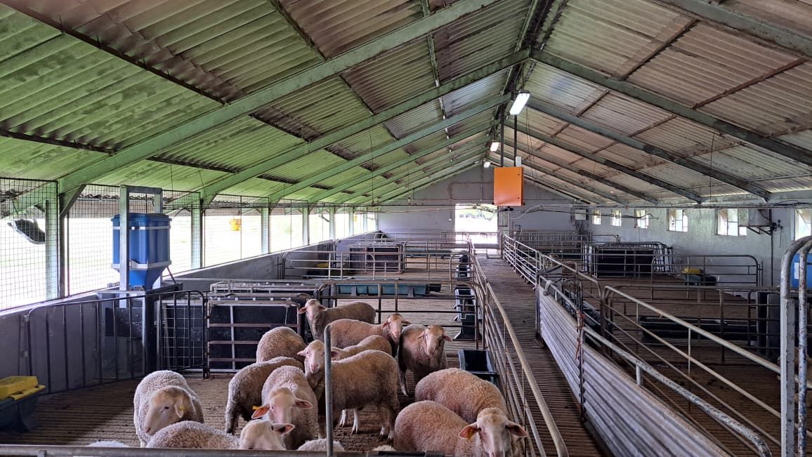Livestock farming operation